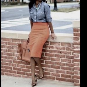Classic Pencil Skirt by Luca Luca NWOT